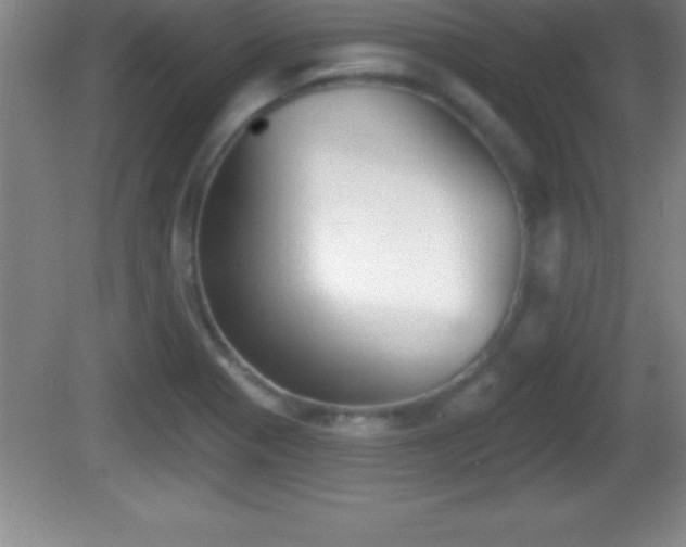 X0000081601321200701221126