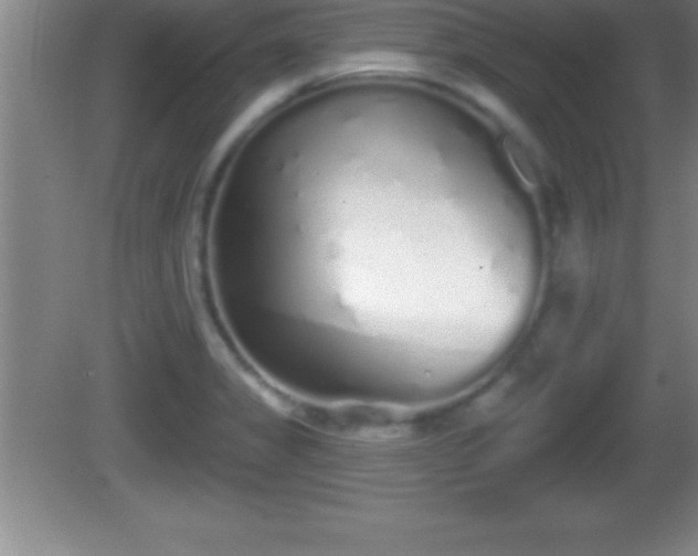 X0000081601325200701221126