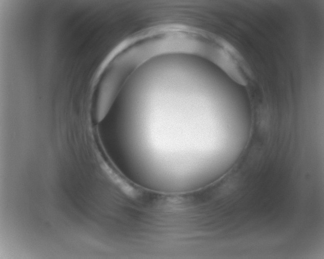 X0000081601326200701221126