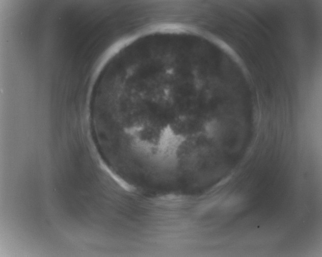 X0000081601327200701221126