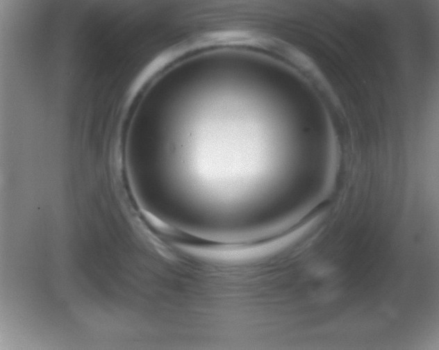 X0000081601328200701221126