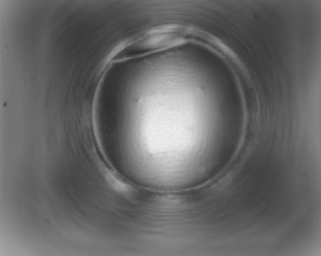 X0000081601329200701221126