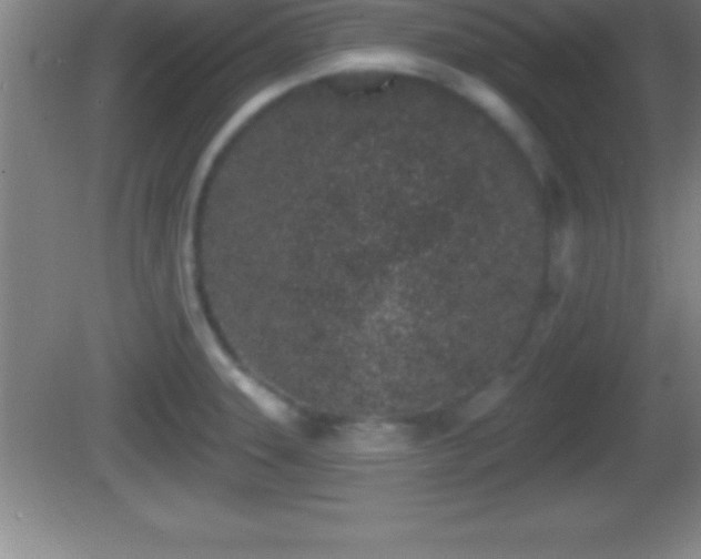 X0000081601331200701221126