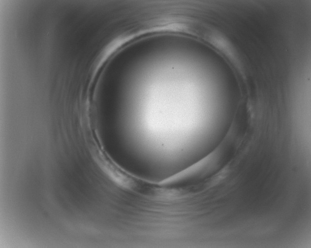 X0000081601332200701221126