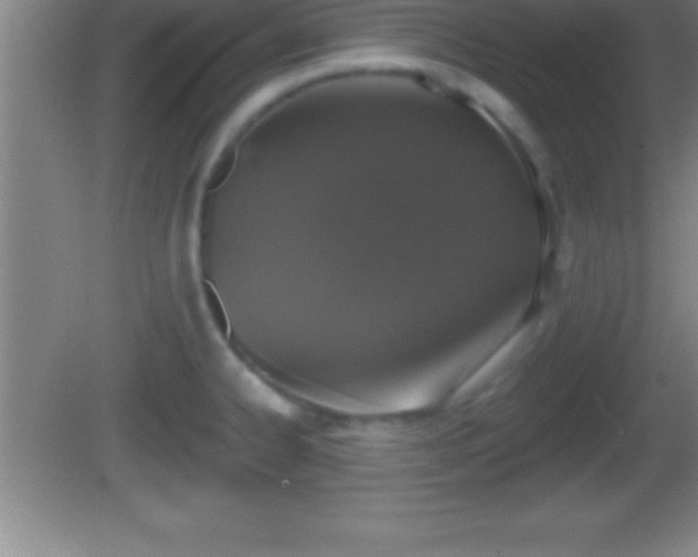 X0000081601334200701221126