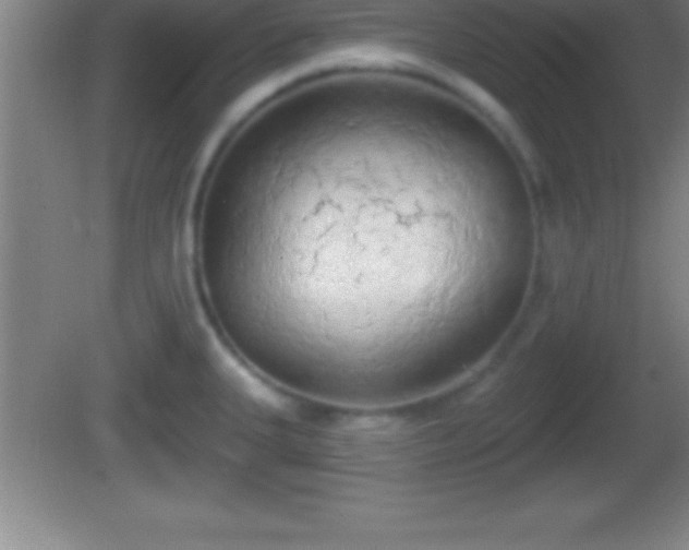 X0000081601335200701221126