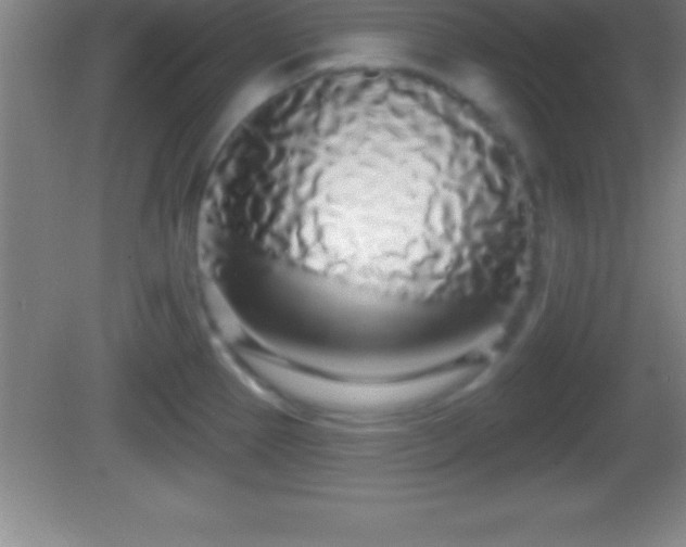 X0000081601337200701221126