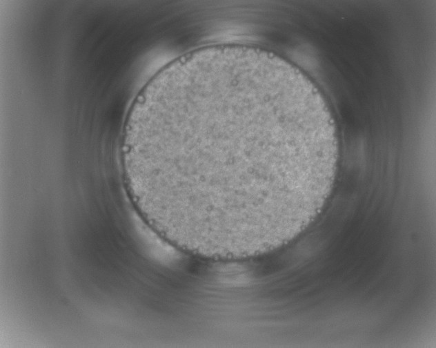 X0000081601338200701221126