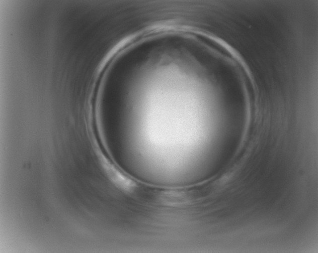 X0000081601341200701221127