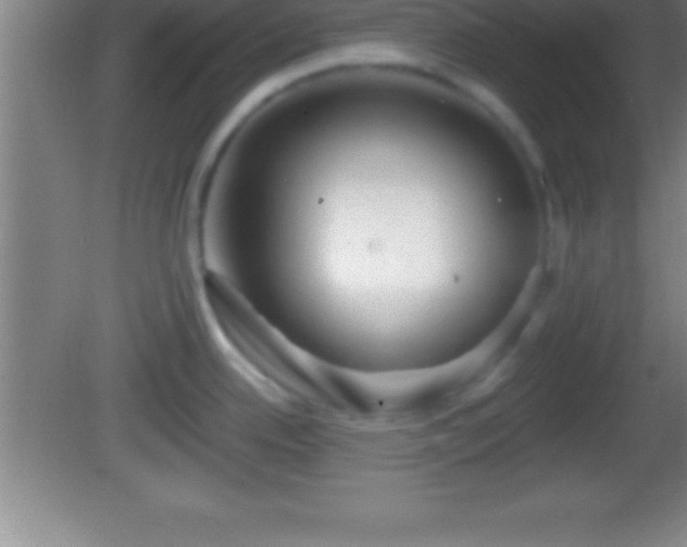 X0000081601342200701221127