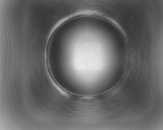 X0000081601343200701221127