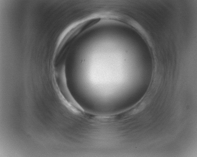 X0000081601344200701221127