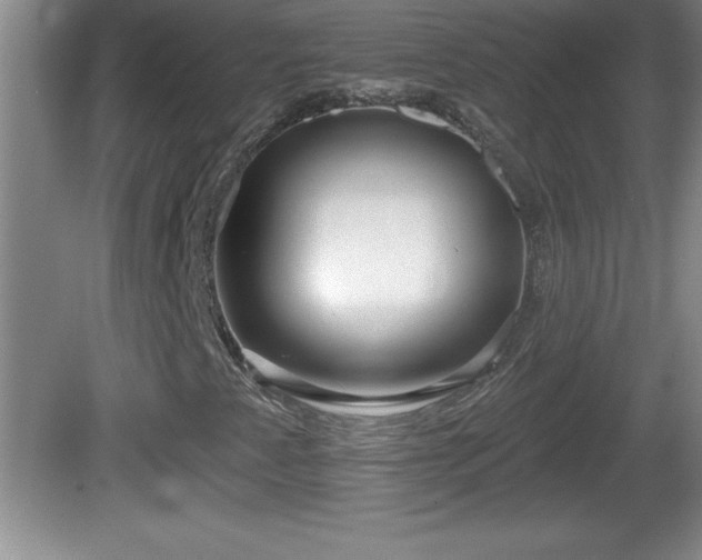 X0000081601345200701221126