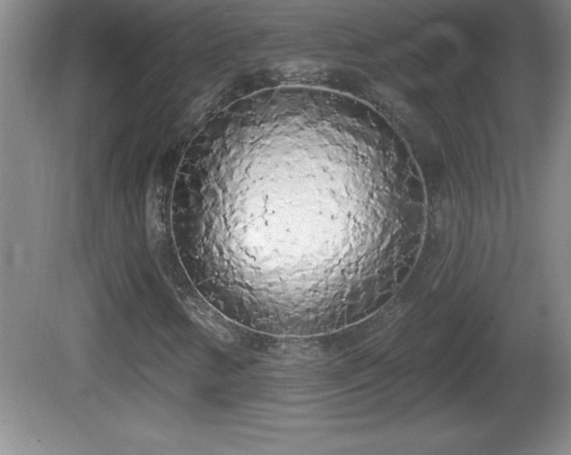 X0000081601346200701221126