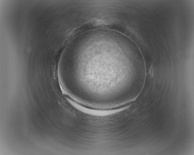 X0000081601348200701221126