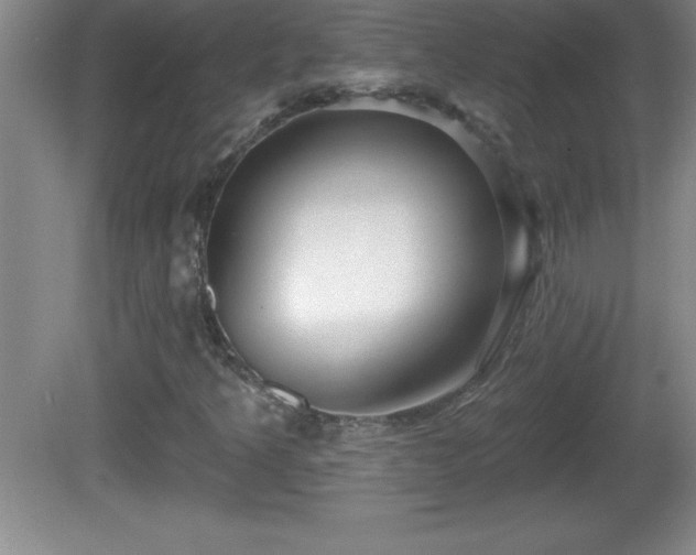 X0000081601349200701221126