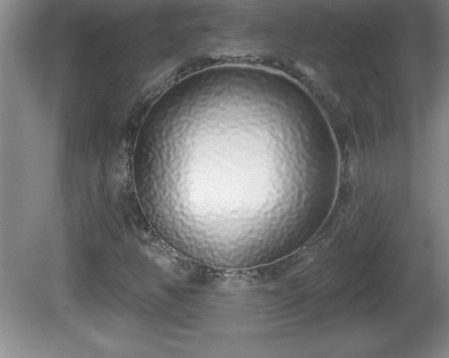 X0000081601350200701221126