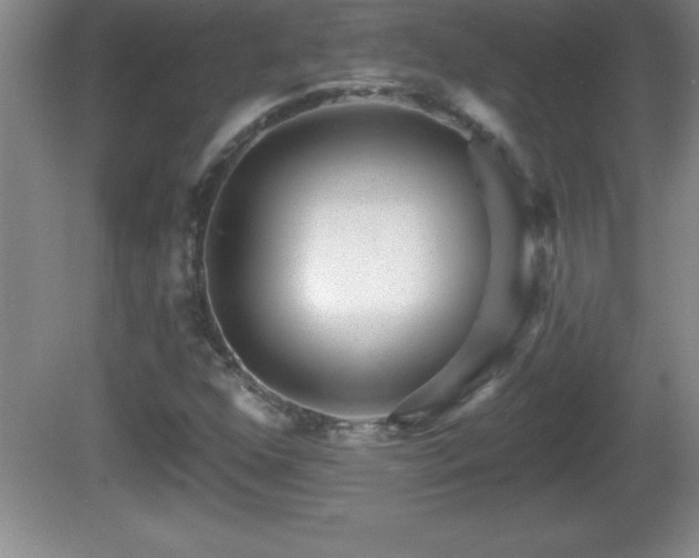 X0000081601352200701221126