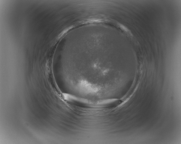 X0000081601353200701221126