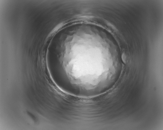 X0000081601354200701221126