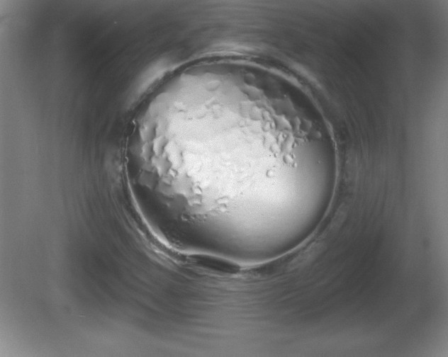 X0000081601355200701221126