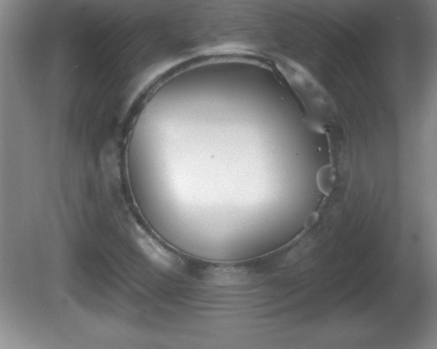 X0000081601356200701221126