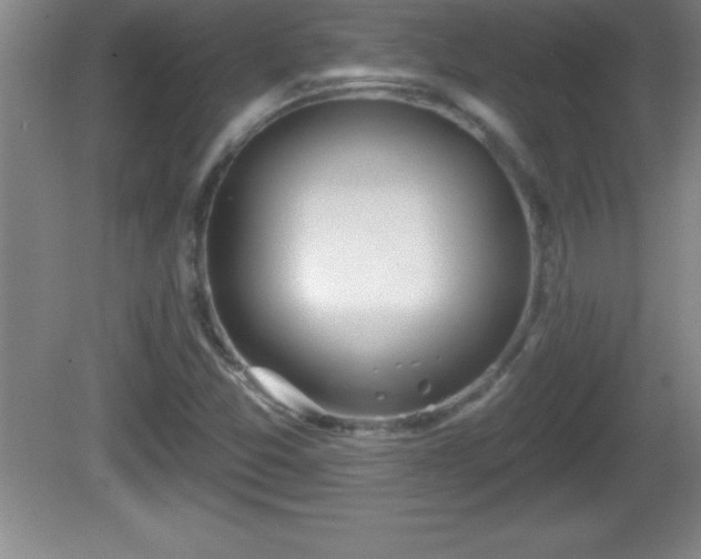 X0000081601357200701221126