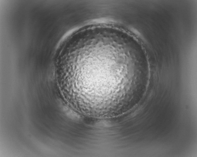 X0000081601358200701221126