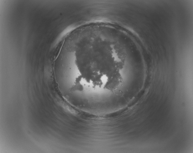 X0000081601359200701221126