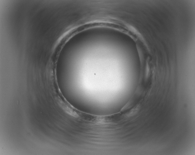 X0000081601360200701221126