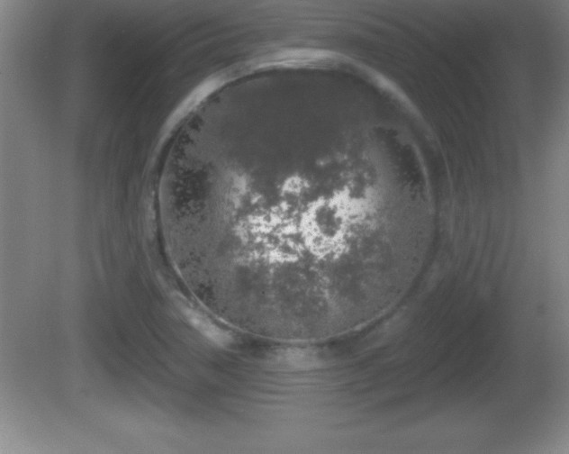 X0000081601362200701221125