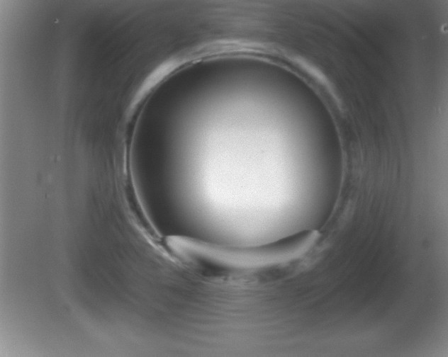 X0000081601365200701221125