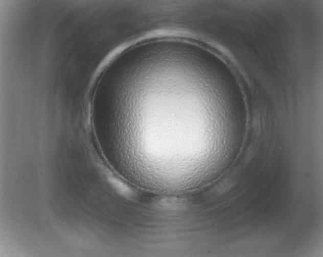 X0000081601366200701221125