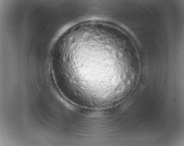 X0000081601367200701221125