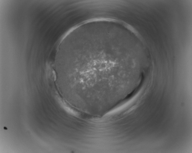 X0000081601369200701221125