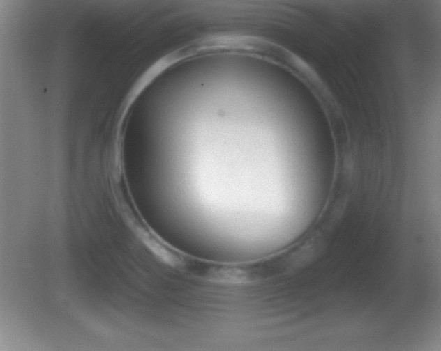 X0000081601370200701221125