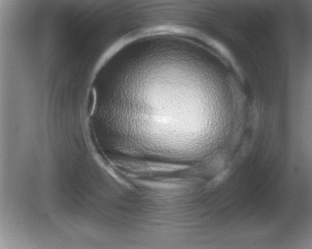 X0000081601373200701221125