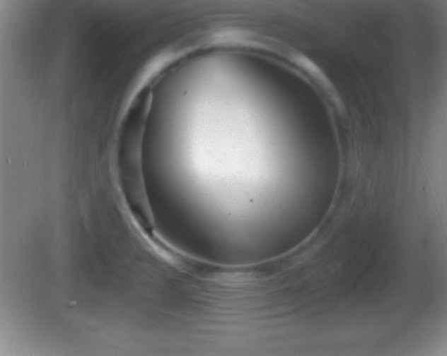 X0000081601376200701221125