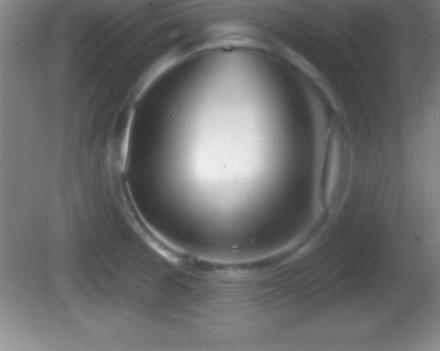 X0000081601377200701221125