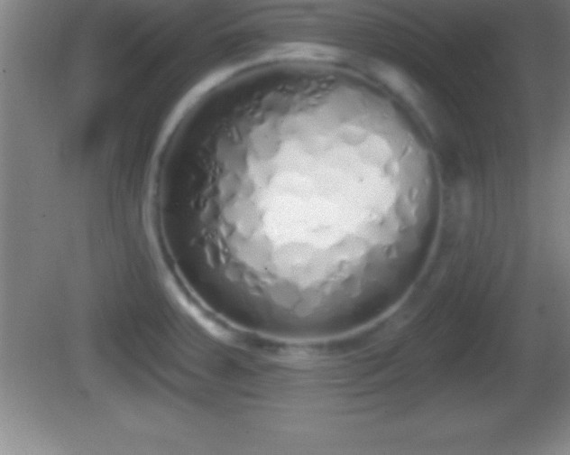 X0000081601379200701221125