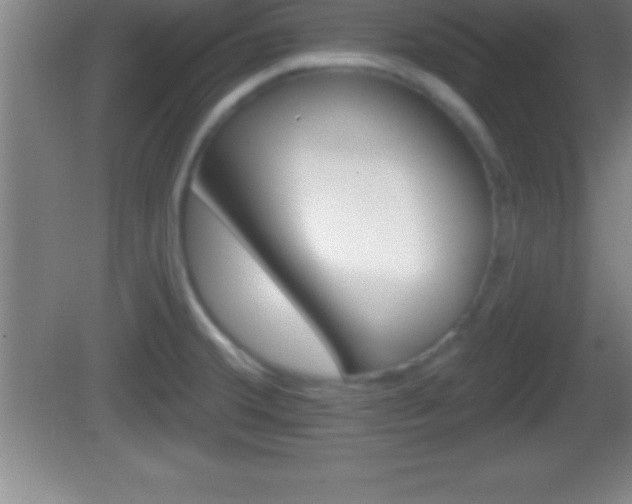 X0000081601380200701221125