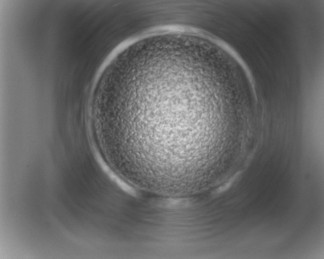 X0000081601381200701221125