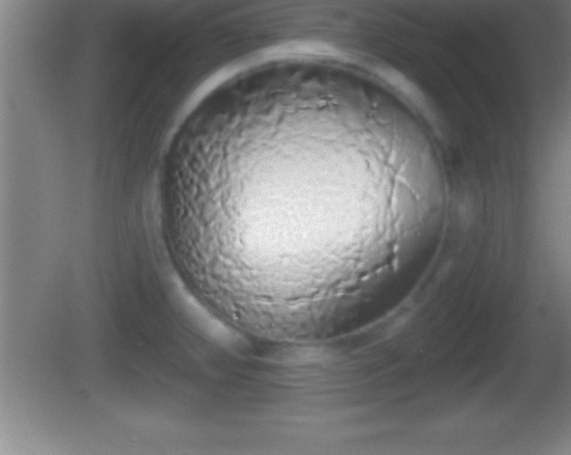 X0000081601382200701221125