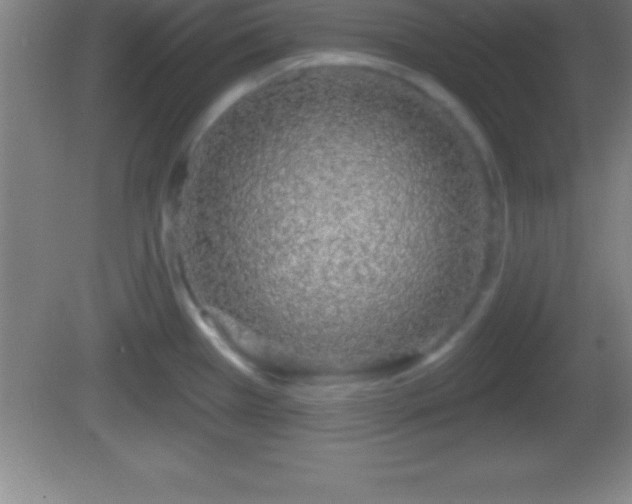 X0000081601385200701221125