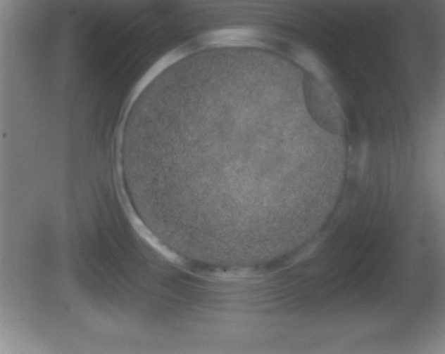 X0000081601386200701221125