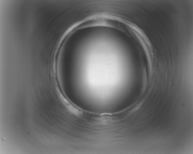 X0000081601388200701221125