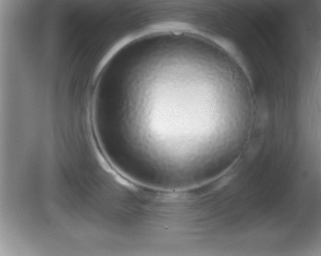 X0000081601390200701221125