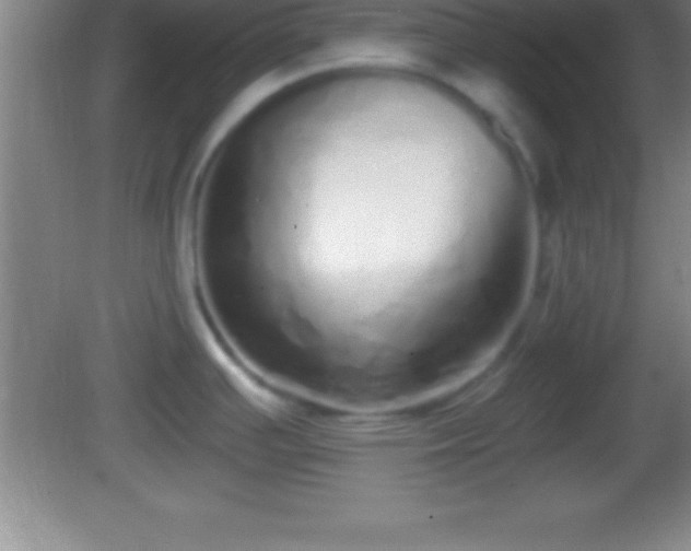 X0000081601391200701221125