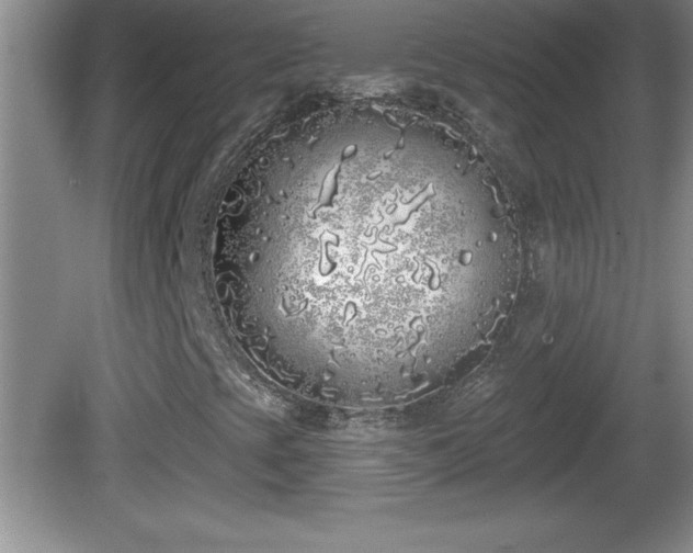 X0000081601393200701221124