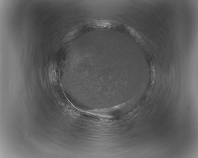 X0000081601394200701221124